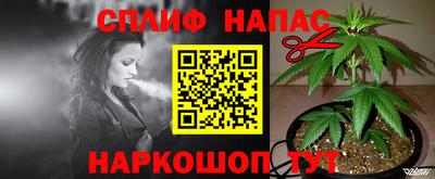 амфетамин Гай
