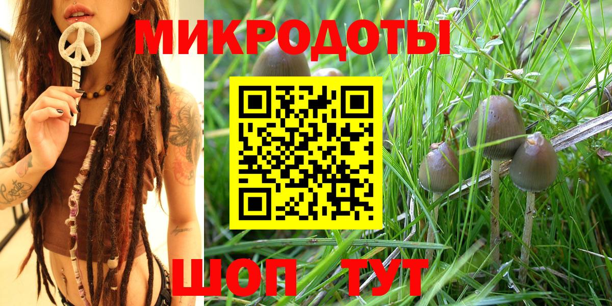 Псилоцибиновые грибы Magic Shrooms  Псилоцибиновые грибы GOLDEN TEACHER  Вход с VPN  Муром 